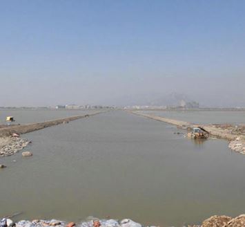 甌飛工程龍灣二期4#圍區固化土河堤項目